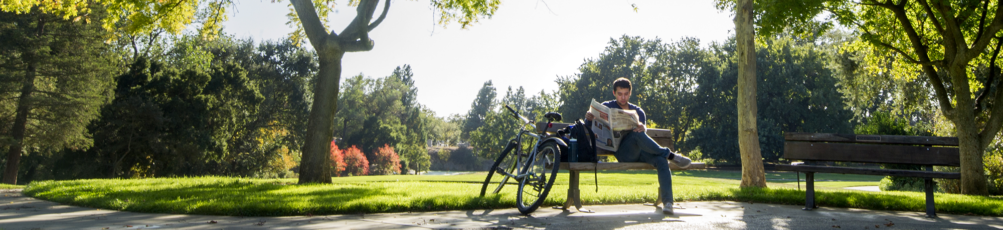 young man reading the paper in the uc davis arboretum